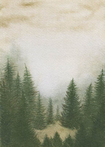 Pine forest - watercolour illustration by Margeaux Davis
