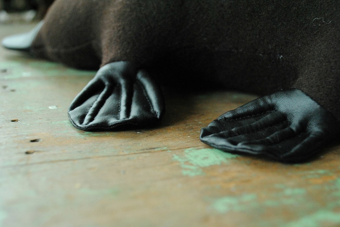 Willowynn platypus soft toy sewing pattern