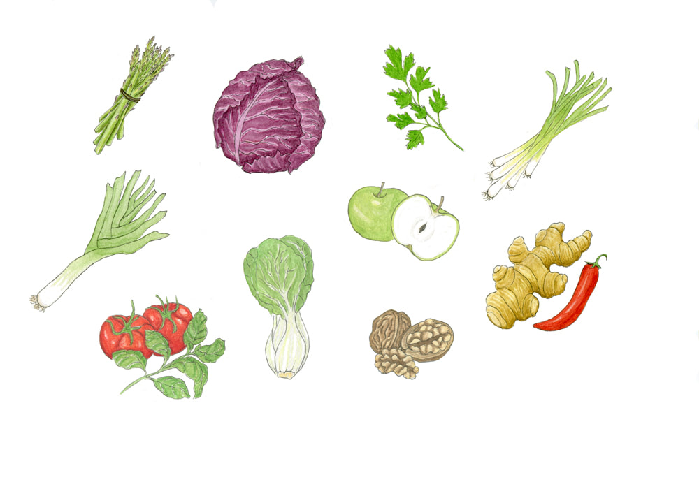 Vegetable illustrations. Watercolour and pen on paper by Margeaux Davis 2019